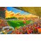 The Dell Stadium Fine Art Print - Southampton FC The Dell Stadium Fine Art Print - Southampton FC